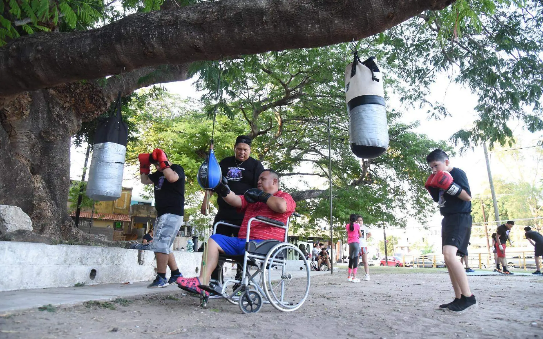 Gimnasio que nace desde un árbol en una colonia de Tampico 